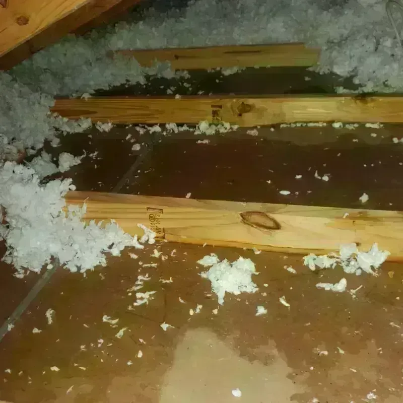 Attic Water Damage in Johnston, RI